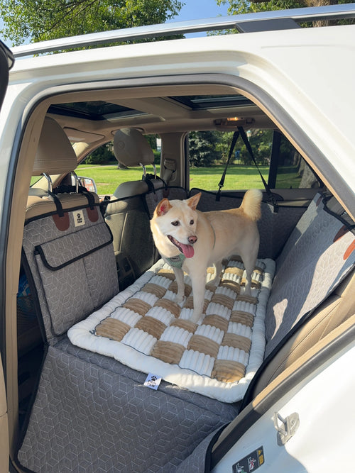 PawVenture™ - Hard Bottom Car Seat Cover