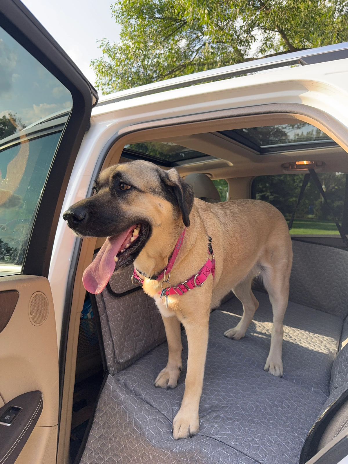 PawVenture™ - Hard Bottom Car Seat Cover